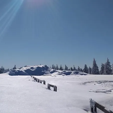 Gasthof Berghof