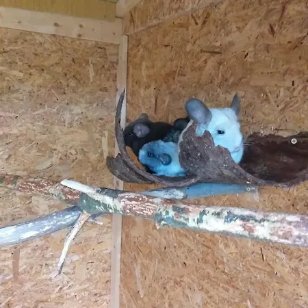 Berghof Breitenbrunn (Saxony)