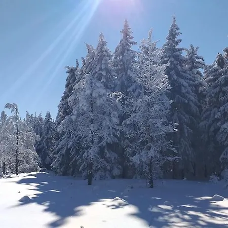 Berghof 3* Breitenbrunn (Saxony)