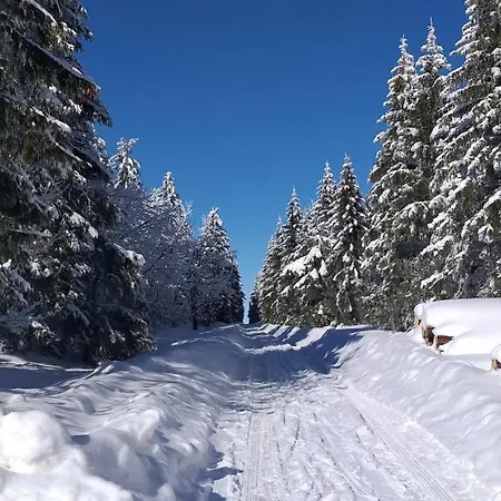 Berghof Gasthof