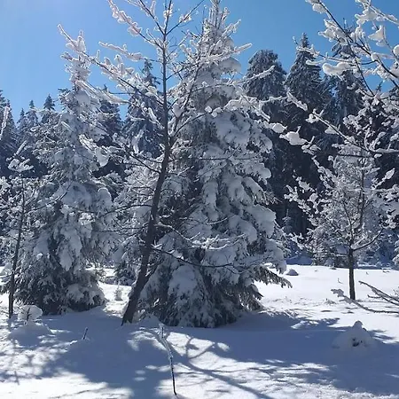 Gasthuis Berghof Breitenbrunn (Saxony)