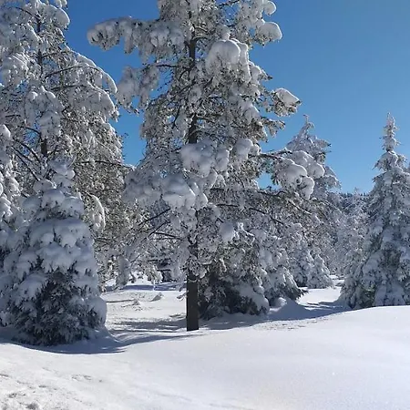 Berghof Gasthof Breitenbrunn (Saxony)