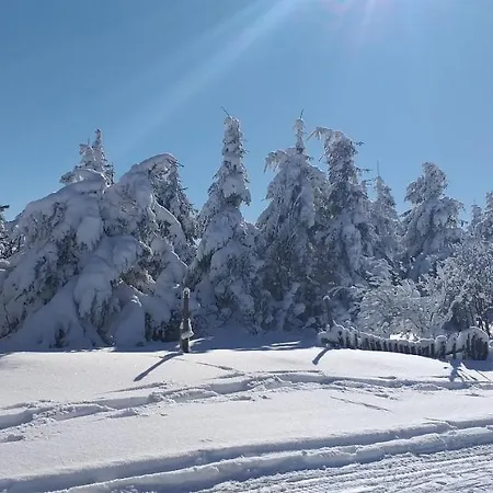 Berghof Gasthof