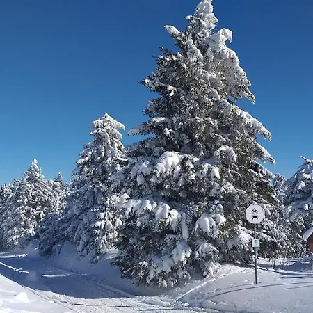 Berghof Breitenbrunn (Saxony)