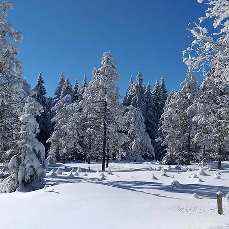 Berghof Gasthuis Breitenbrunn (Saxony)