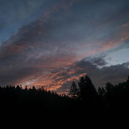 Berghof Breitenbrunn (Saxony)