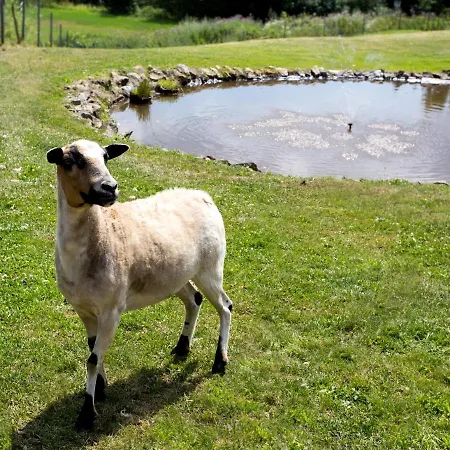 Berghof 3* Breitenbrunn (Saxony)